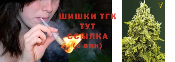 сатива Алексин