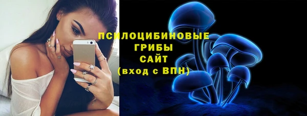 дживик Алексеевка