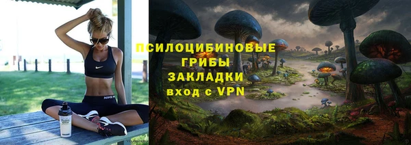 сатива Алексин